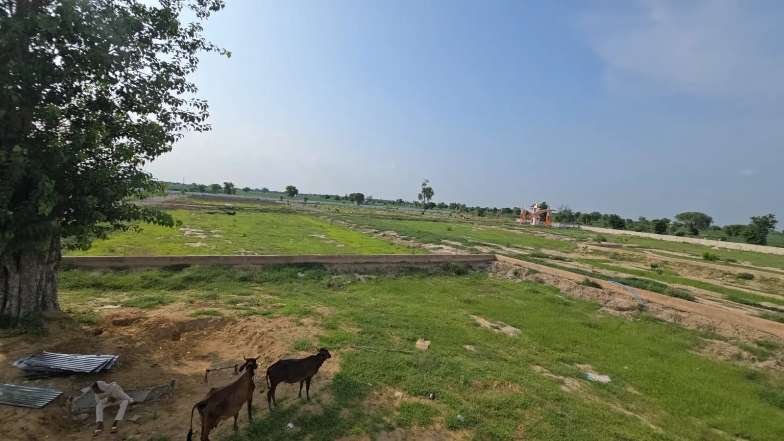 100 sq yd Residential plot in Loharwadi — photo 7