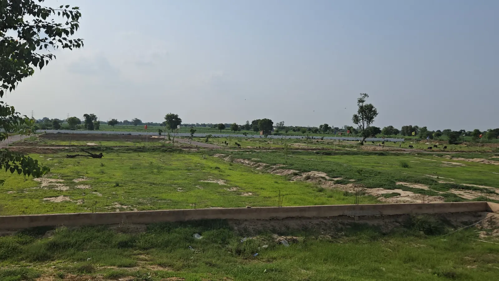 100 sq yd Residential plot in Loharwadi — photo 3